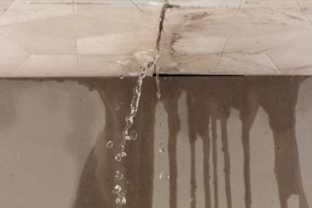 Professional Structural Drying technician working in Three Lakes, FL